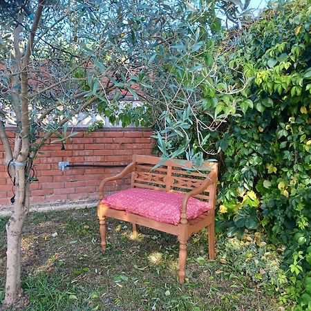 Vila Piscina De Sal Barbacoa Wifi, Parking Gratis, 3 Min Pga Casa El Roble Girona Exteriér fotografie