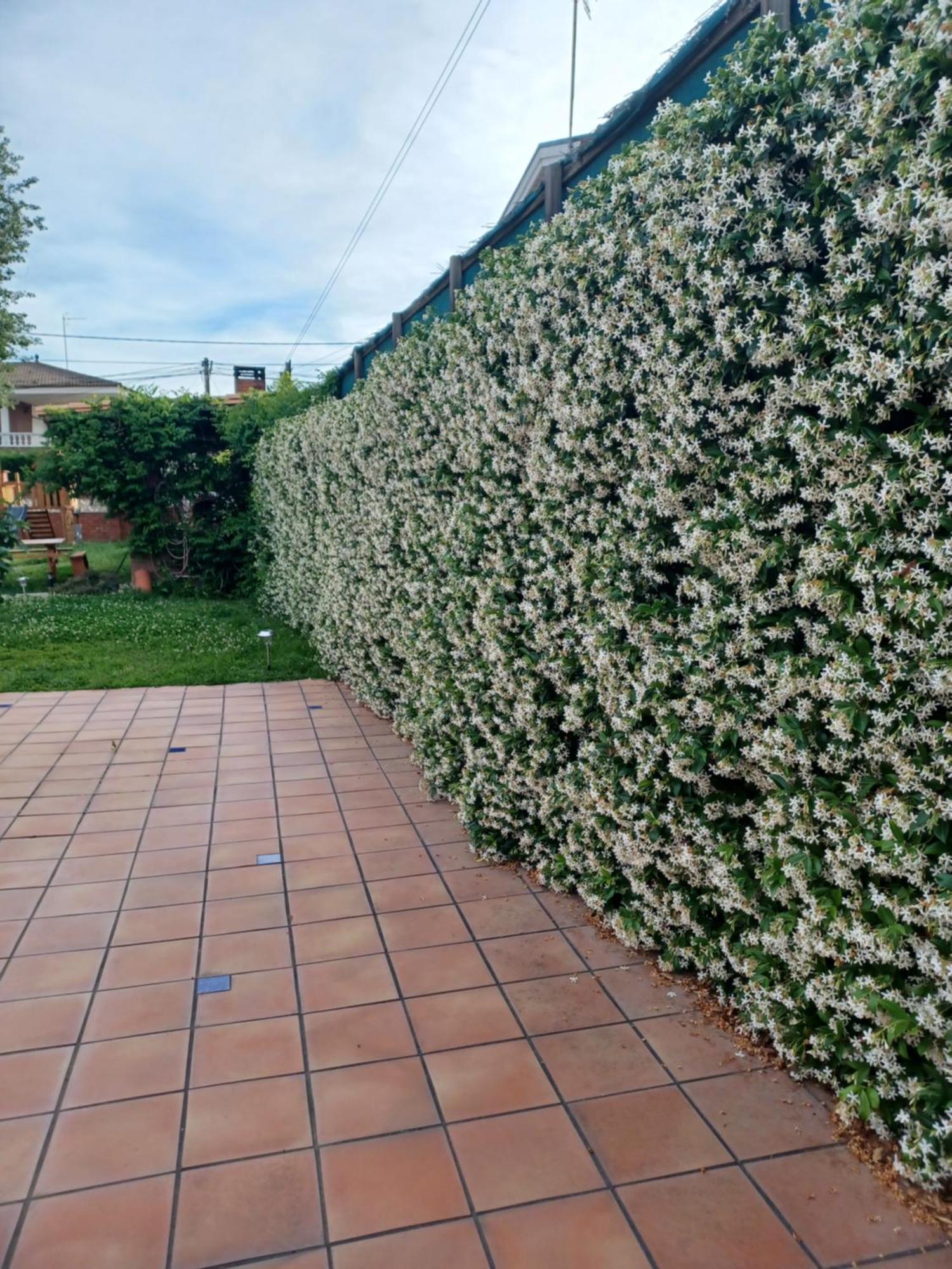 Vila Piscina De Sal Barbacoa Wifi, Parking Gratis, 3 Min Pga Casa El Roble Girona Exteriér fotografie